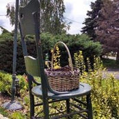 Louise Phetteplace's photo