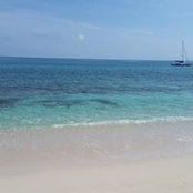 Daniel Bradley's photo