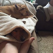 Katlyn Foster's photo