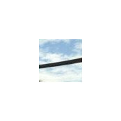 Aaron Schlechter's photo
