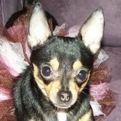 Donald N Maureen Sagar's photo