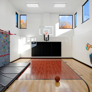 Home Indoor Fitness Center with Climbing Wall and Monkey Bars
