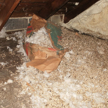 Arcadia - Attic Insulation Removal and Replacement