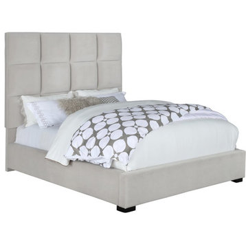 Coaster Panes Upholstered Tufted Panel Velvet Queen Bed in Beige