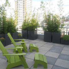 Gardens & Patio