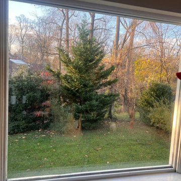Window Glass Replacement – Springfield, VA