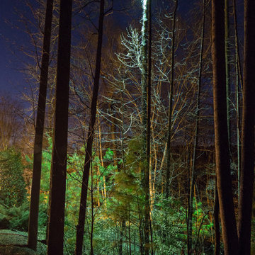 Alpharetta, GA House and Backyard Lighting Project