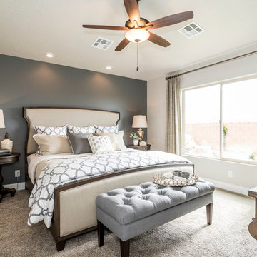 Transitional Bedroom