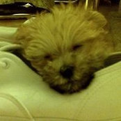 Lorraine Salzano's photo