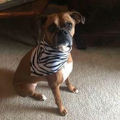 Nichole Berridge's photo