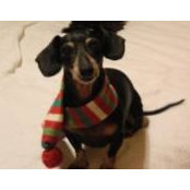 Patty Guiberson's photo