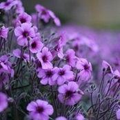 Jackie Lacey's photo