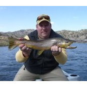 Jeff Wilkinson's photo