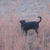 Doug McAdams's photo