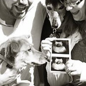 Gavin Rodgers's photo