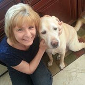 Donna Territo Kelly's photo