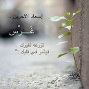 Dody Mohamed's photo