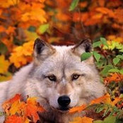 Foto von Penny Clairmont