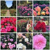 Anna Felisitas's photo