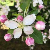 Foto von Catherine Yeager