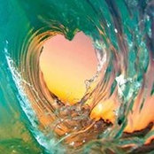 Vicki Arnott's photo