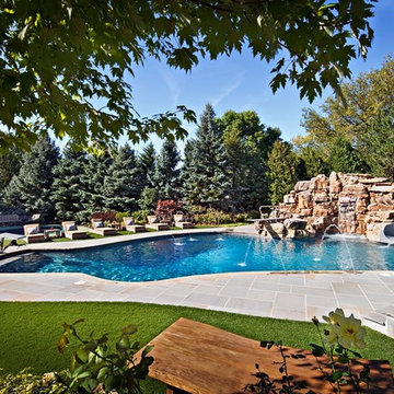 Irregular Pool in Burr Ridge, IL