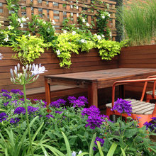 Balcony Landscape