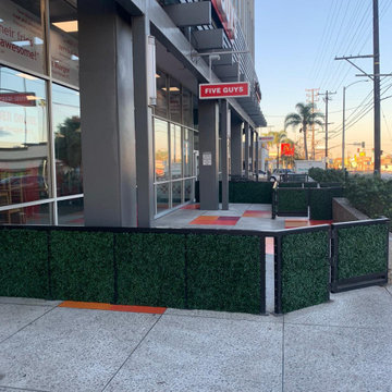 boxwood frontfence