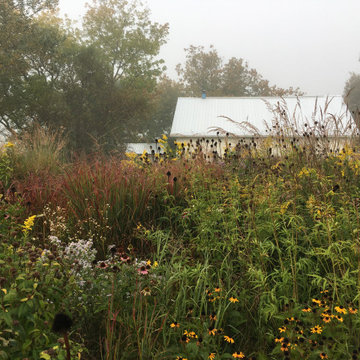 Schoolhouse Meadow