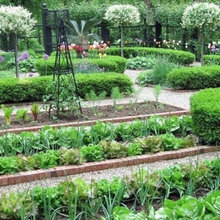 Raised Beds