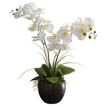 White Silk Orchid Design in Black Bowl