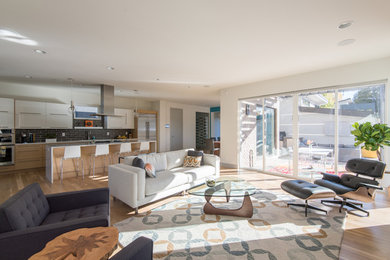 Living room - 1960s living room idea in Denver