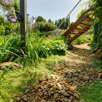 New Lease on Life - Mullum Residence