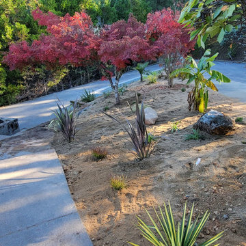 Landscape Projects