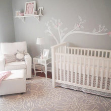 Baby Girl Nursery