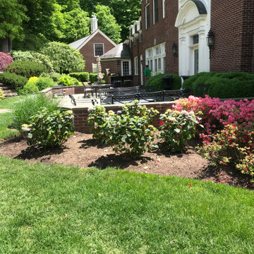 Greenwich Updates to Mature Landscape