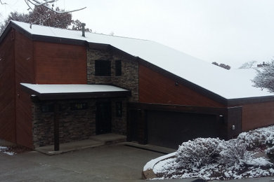 Mid-sized minimalist two-story wood exterior home photo in Other with a shingle roof and a black roof