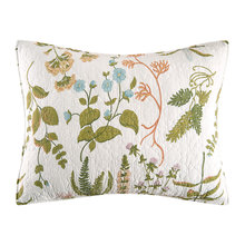 pillows