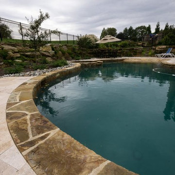 Free Form Pool with Spa