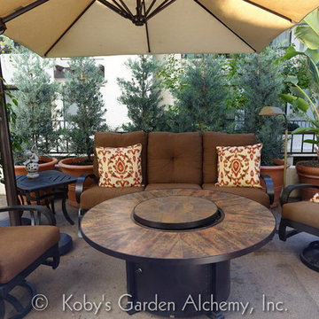 Condo Garden, San Diego, (established)