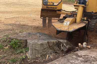 Stump Grinding