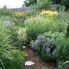 garden ideas