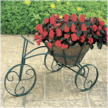 Landscape Ideas