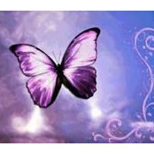 Nancy Bedell's photo