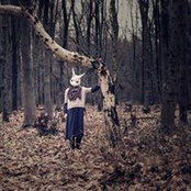 Clare Acford's photo