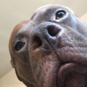 Michael Ksiazek's photo