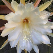 Jim Hankey's photo