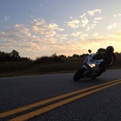Shane Palmer's photo