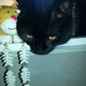 Michael Venner's photo