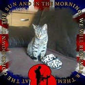 Foto von Dawn Allcote